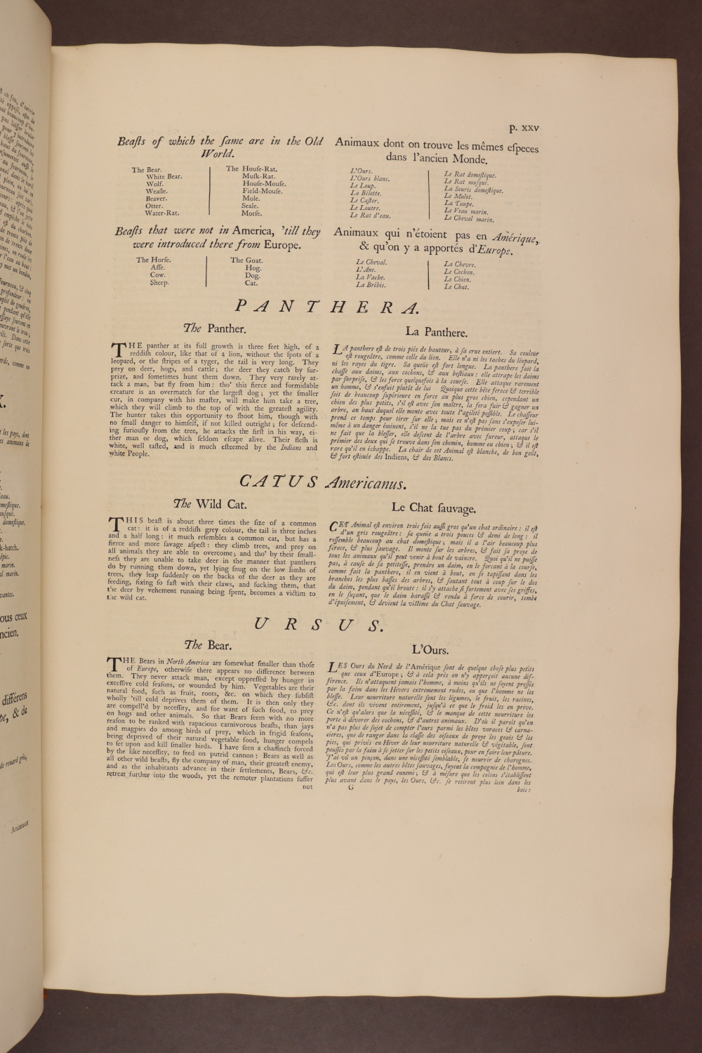 Page xx verso